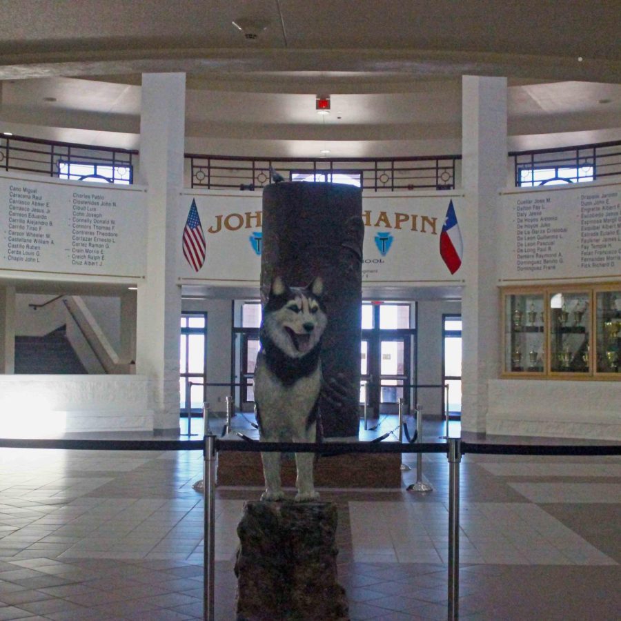 The husky that welcomes all students into Chapin High School.