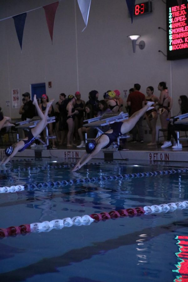 Freshman Genevieve Edwards Diving in to start her 100 freestyle.