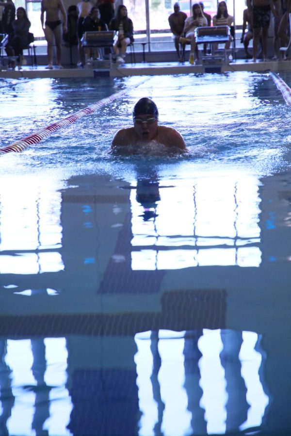 Freshman Carlos Albidrez just started his 100 breaststroke.