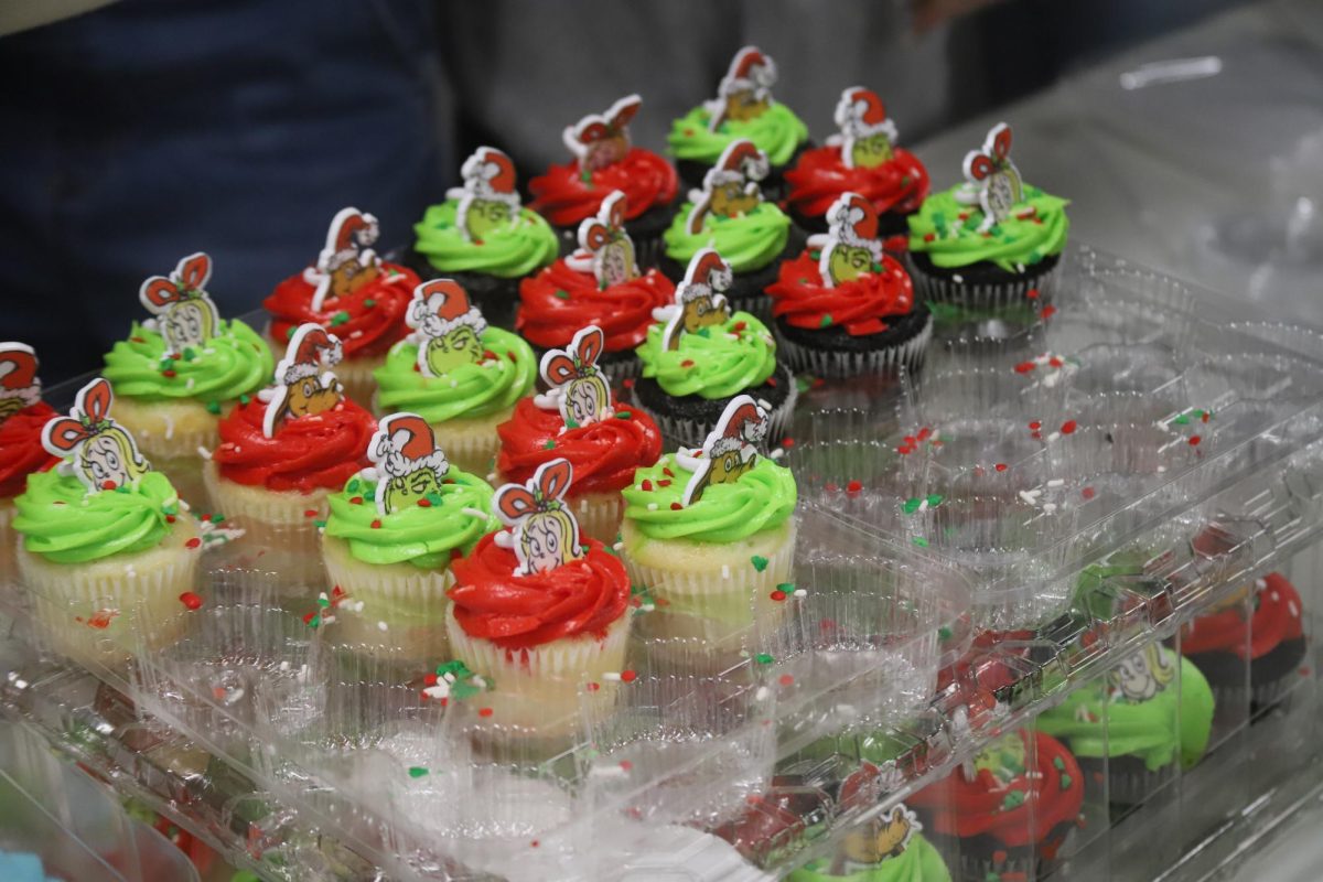 The dedication is real! This was the line for the free cupcakes, and every person was rewarded with a delicious treat!