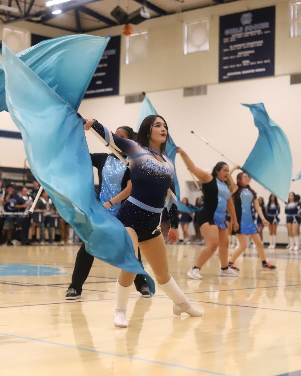 Color Guard showcasing their hard work and dedication through an impressive flag routine.